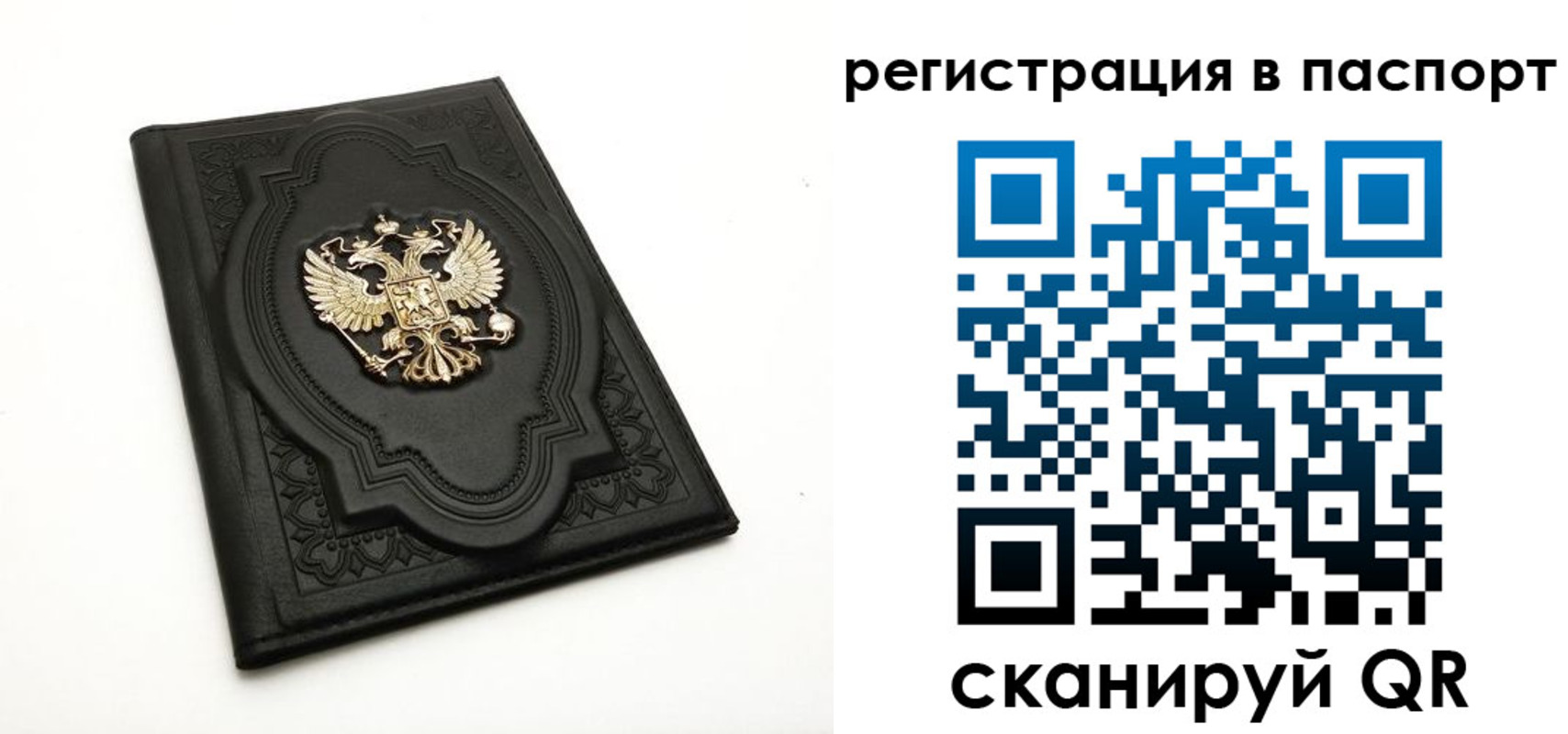 прописка регистрация в Воронежской области